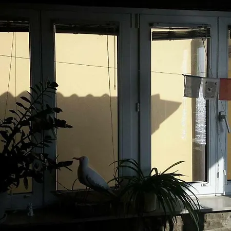 Punta Nana Mira Apartment Piran Exterior photo