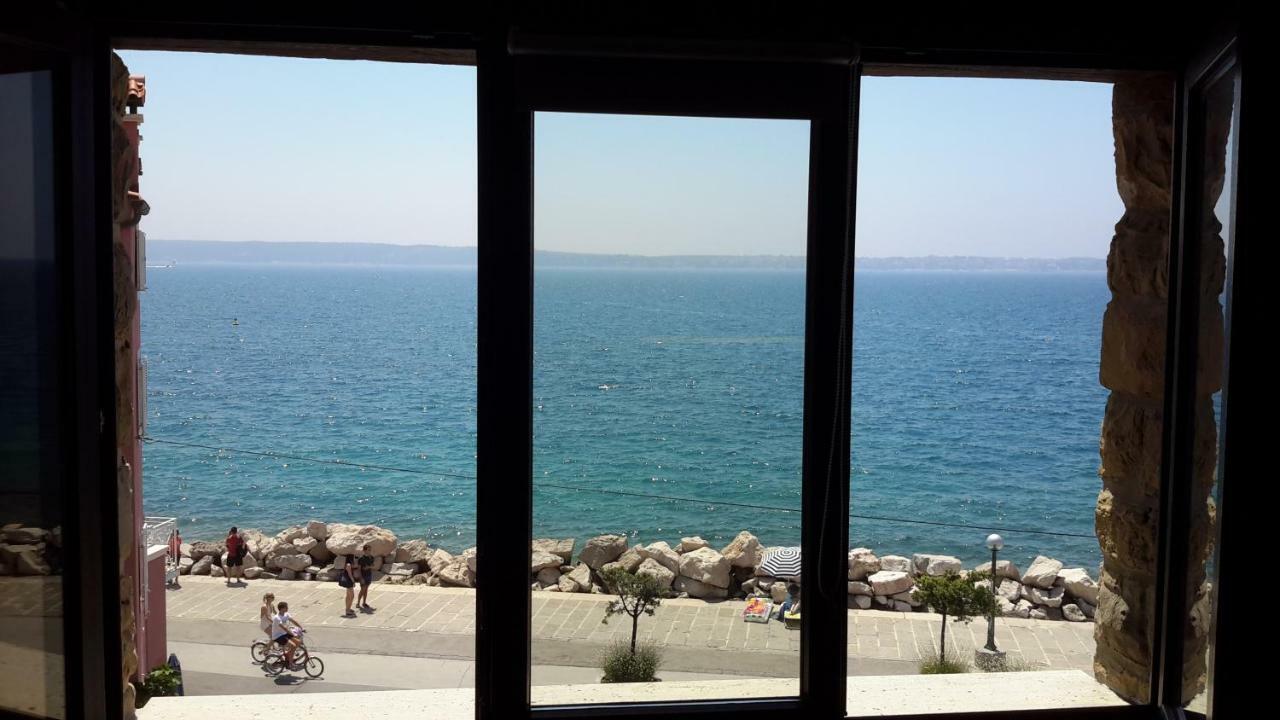 Punta Nana Mira Apartment Piran